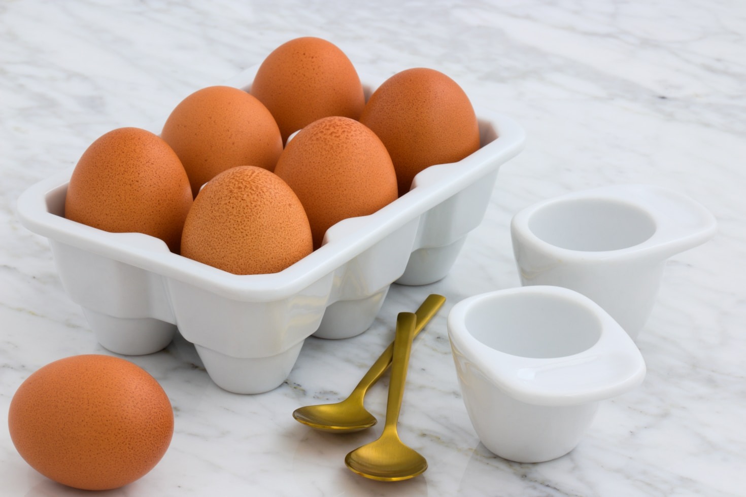 Why Protein Matters for a Healthy Lifestyle