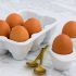 Exploring the Fresh Protein Product Line